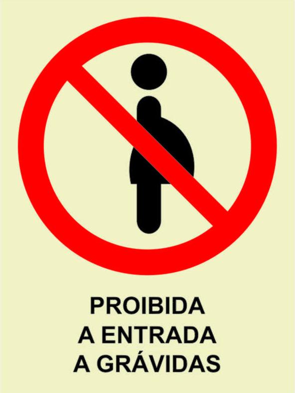 14_8b4abcf0-93c2-4af8-a601-66ee7e4c4f80 Sinalização de Proibição - PR 4202 - Image 1