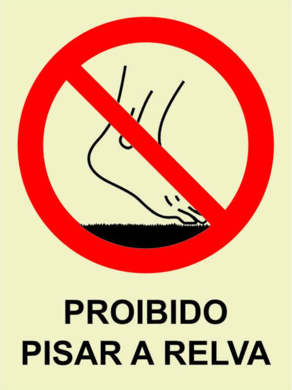 27_304a8ac1-129a-4eec-8530-20f55a6bd0bb Sinalização de Proibição - PR 4195 - Image 1