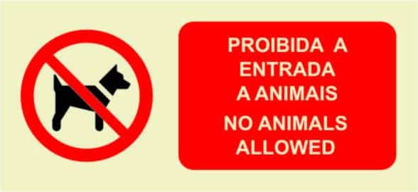 9_f301e7ce-93bc-4c7f-9f51-6b6bb5e070d7 Sinalização de Proibição - PR 4274 - Image 1